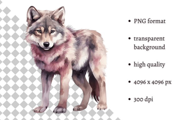 Download Watercolor Woodland Wolf PNG Clipart - Wood Collection